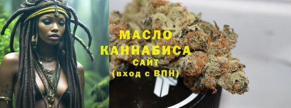 прущий лед Инсар