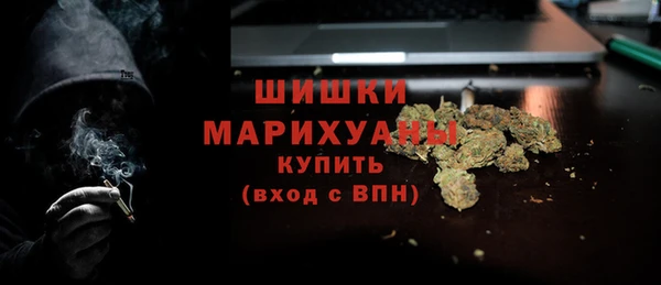 прущий лед Инсар